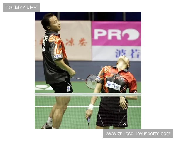 羽毛球张军刹球