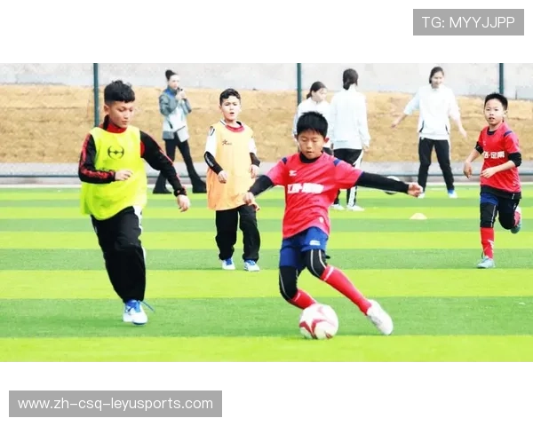 足球训练中的团队协作与战术提高