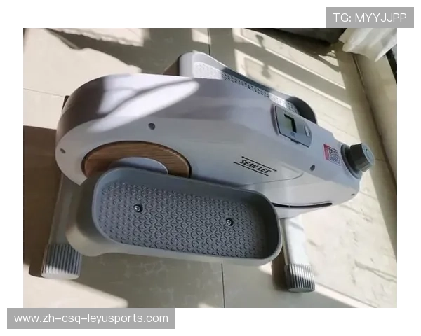 高效燃脂健身器材推荐哪些器械助力快速减肥